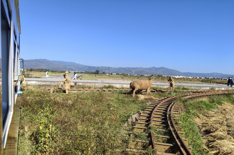 山东省市场监督管理局关于加强食用农产品批发市场监管的指导意见（鲁市监发〔2026〕2号）