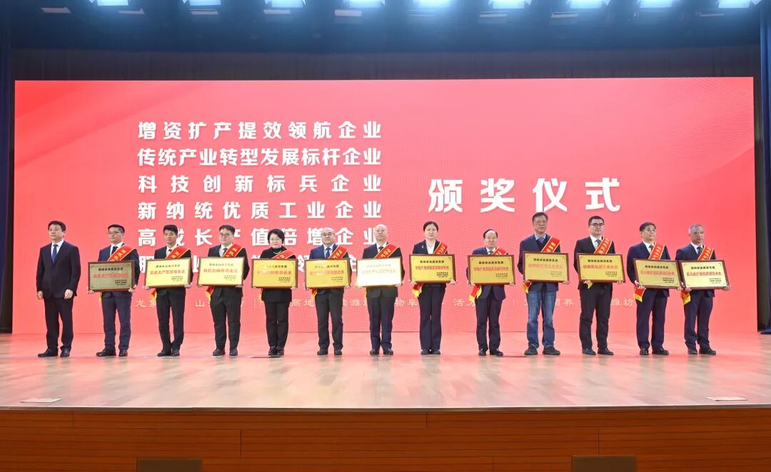 得利斯集团荣获潍坊市“科技创新标兵企业”荣誉称号