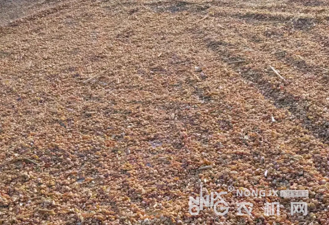 榆社举办粮食产地烘干设施建设及应急救援体系建设现场培训会